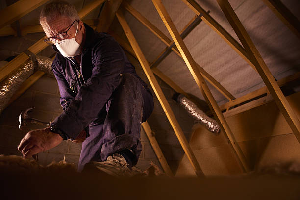Best Residential Insulation in Sturgis, MI
